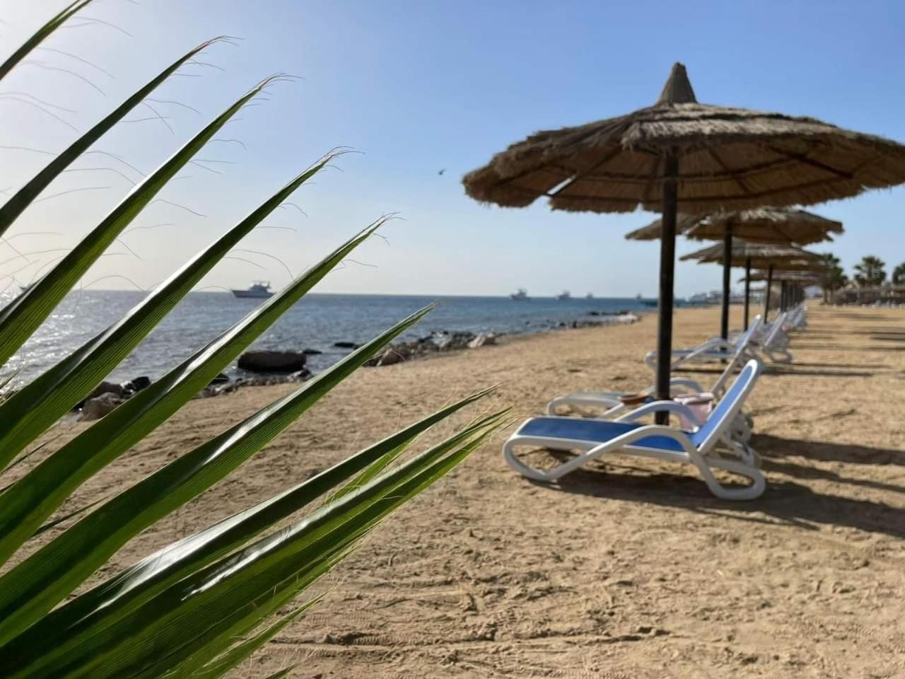 For Rent In The View 409 * Hurghada