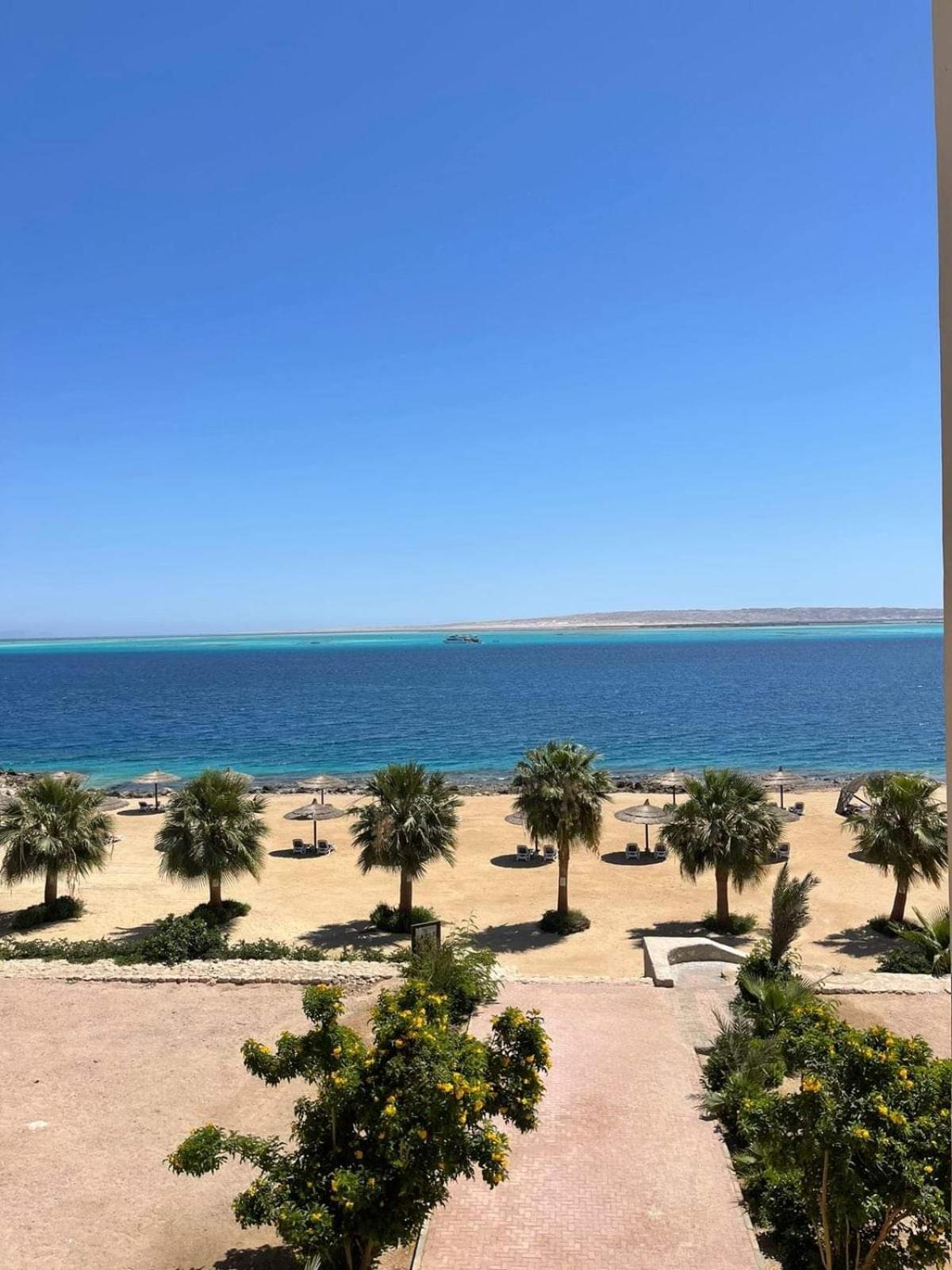 Appartement For Rent In The View 409